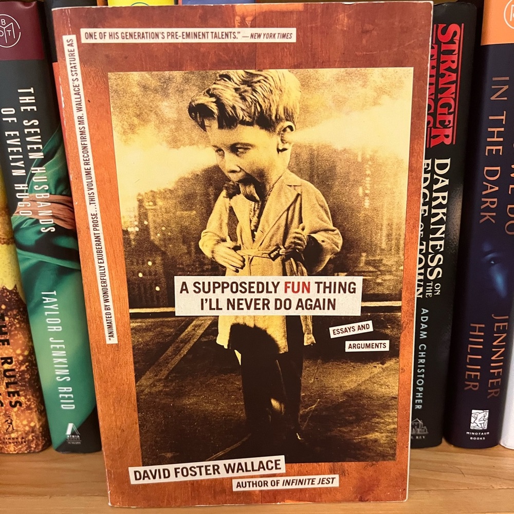 4/$25 A Supposedly Fun Thing I'll Never Do Again by David Foster Wallace